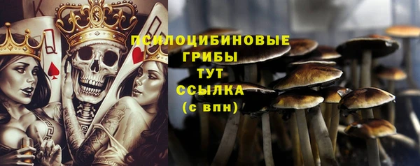 прущий лед Козловка