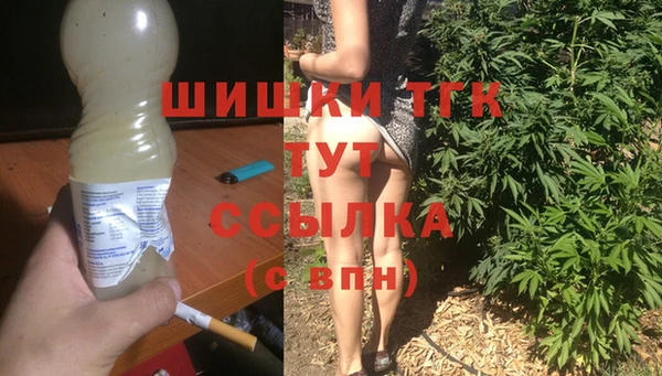 молекула духа Алексин