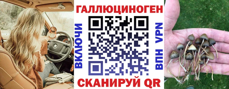 OMG как зайти  Иваново  Галлюциногенные грибы Psilocybe  цены наркотик 