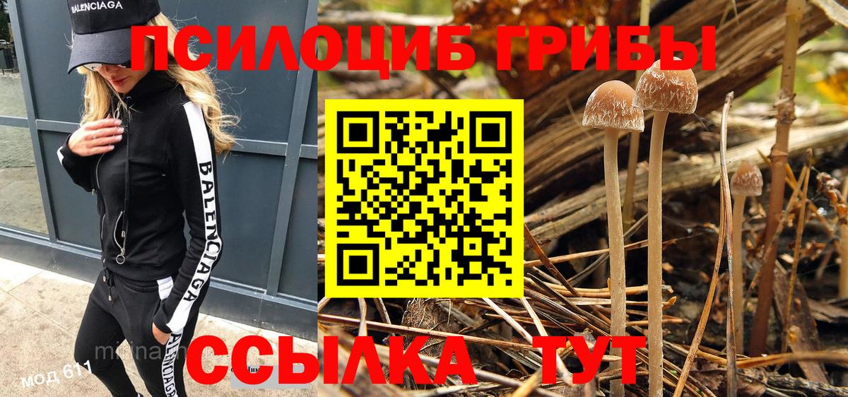 Псилоцибиновые грибы ЛСД Иваново