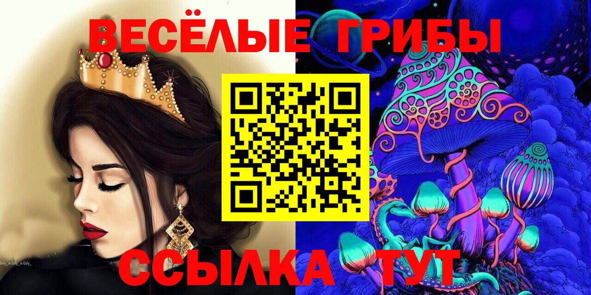 Галлюциногенные грибы Psilocybine cubensis  Вход с VPN  Галлюциногенные грибы мицелий  Иваново 